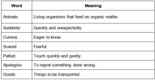 Word - Meanings