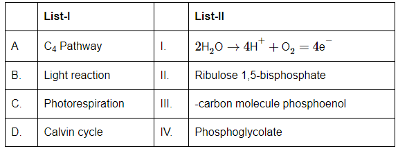 NEET Previous Year Questions (2016-2024): Photosynthesis in Higher Plants | Biology Class 11
