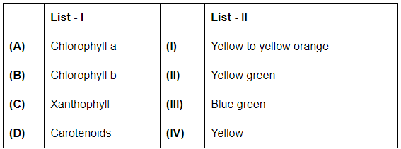 NEET Previous Year Questions (2016-2024): Photosynthesis in Higher Plants | Biology Class 11