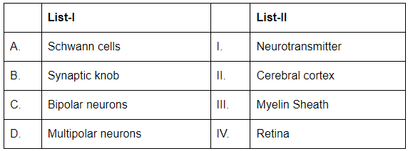 NEET Previous Year Questions (2016-2025): Neural Control & Coordination | Biology Class 11