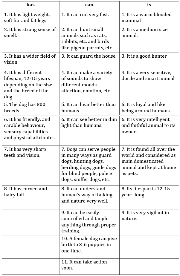 Mijbil the Otter NCERT Solutions - Class 10