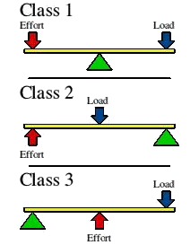 Work, Force, Energy and Simple Machines - 2 Class 5 Worksheet Science