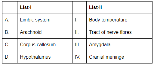 NEET Previous Year Questions (2016-2025): Neural Control & Coordination | Biology Class 11