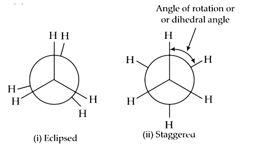 NEET Previous Year Questions (2014-2024): Organic Chemistry - Some Basic Principles & Techniques | Chemistry Class 11