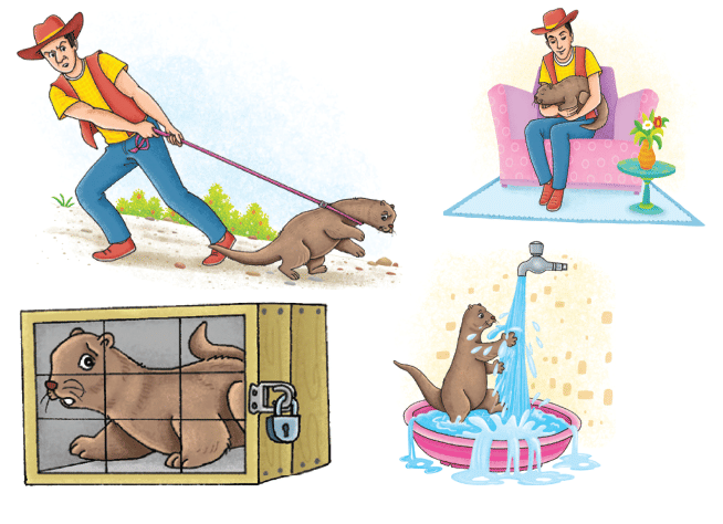 Mijbil the Otter NCERT Solutions - Class 10