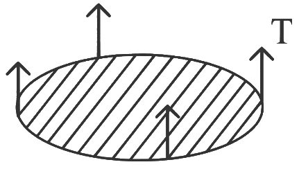 NEET Previous Year Questions (2014-2025): Mechanical Properties of Solids | Physics Class 11