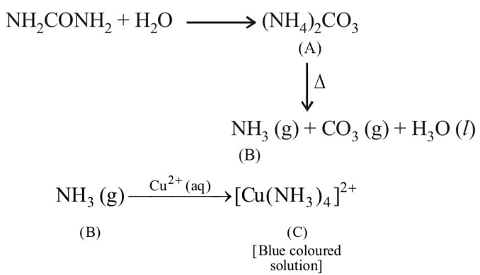 NEET Previous Year Questions (2014-2024): Coordination Compounds | Chemistry Class 12