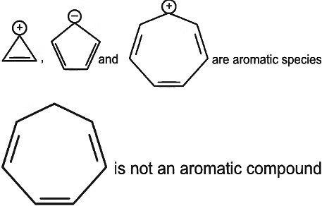 NEET Previous Year Questions (2014-2024): Organic Chemistry - Some Basic Principles & Techniques | Chemistry Class 11