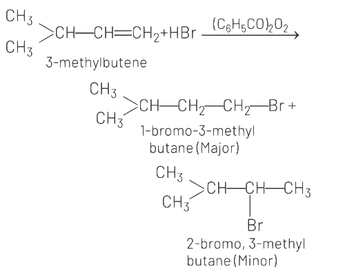 NEET Previous Year Questions (2014-2024): Haloalkanes & Haloarenes | Chemistry Class 12