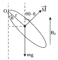 JEE Advanced Previous Year Questions (2018 - 2024): Magnetism | Physics for JEE Main & Advanced