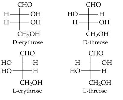 NEET Previous Year Questions (2014-2025): Biomolecules | Chemistry Class 12