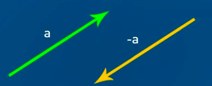 Vectors: Definition, Types & Unit Vectors | Physics for JEE Main & Advanced
