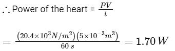 NEET Previous Year Questions (2014-2025): Work, Energy & Power | Physics Class 11