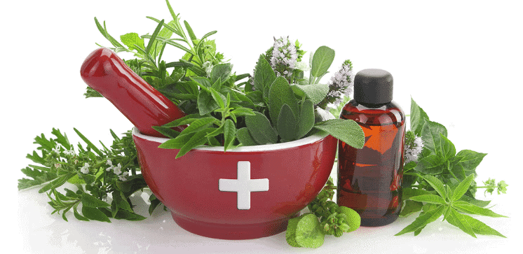 Nature`s Medicines Chapter Notes | Communicative English for Class 10