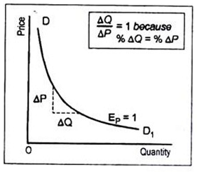 Elasticity Of Demand (Theory of Consumer Behaviour) Class 12 Economics