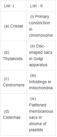 NEET Previous Year Questions (2016-2025): Cell: The Unit of Life | Biology Class 11