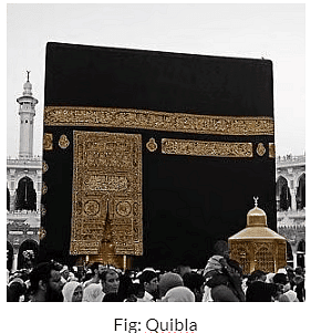 NCERT Solution - Rulers & Buildings