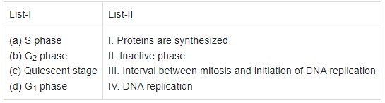 NEET Previous Year Questions (2016-2025): Cell Cycle & Cell Division | Biology Class 11