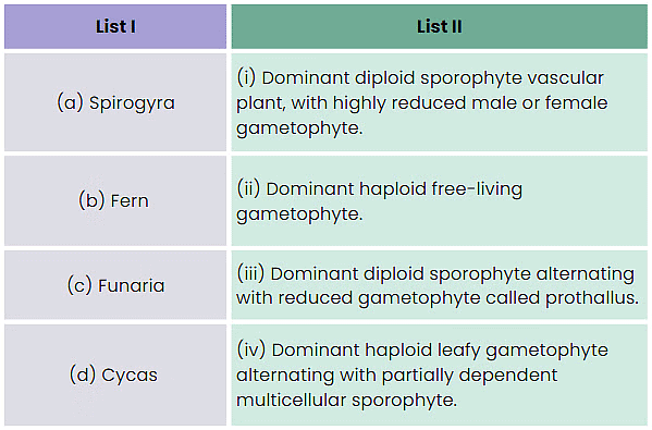 NEET Previous Year Questions (2016-2025): Plant Kingdom | Biology Class 11