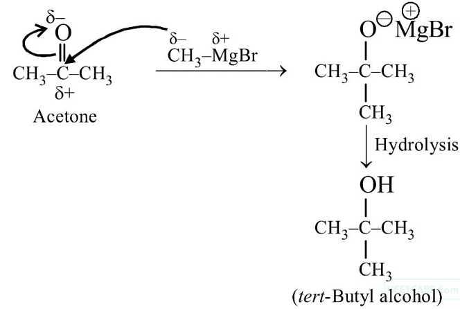 NEET Previous Year Questions (2014-2024): Aldehydes, Ketones & Carboxylic Acids | Chemistry Class 12