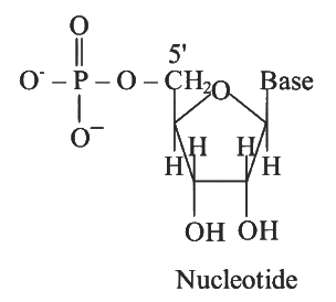 NEET Previous Year Questions (2014-2025): Biomolecules | Chemistry Class 12