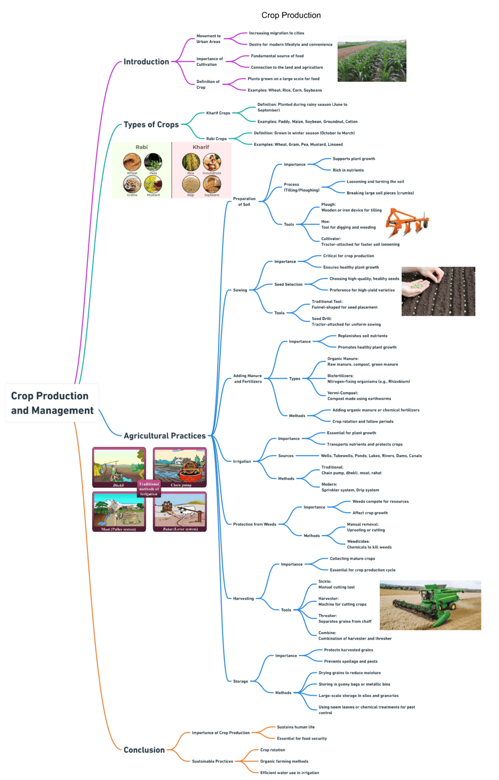 Mind Map: Crops Production and Management | Science Class 8