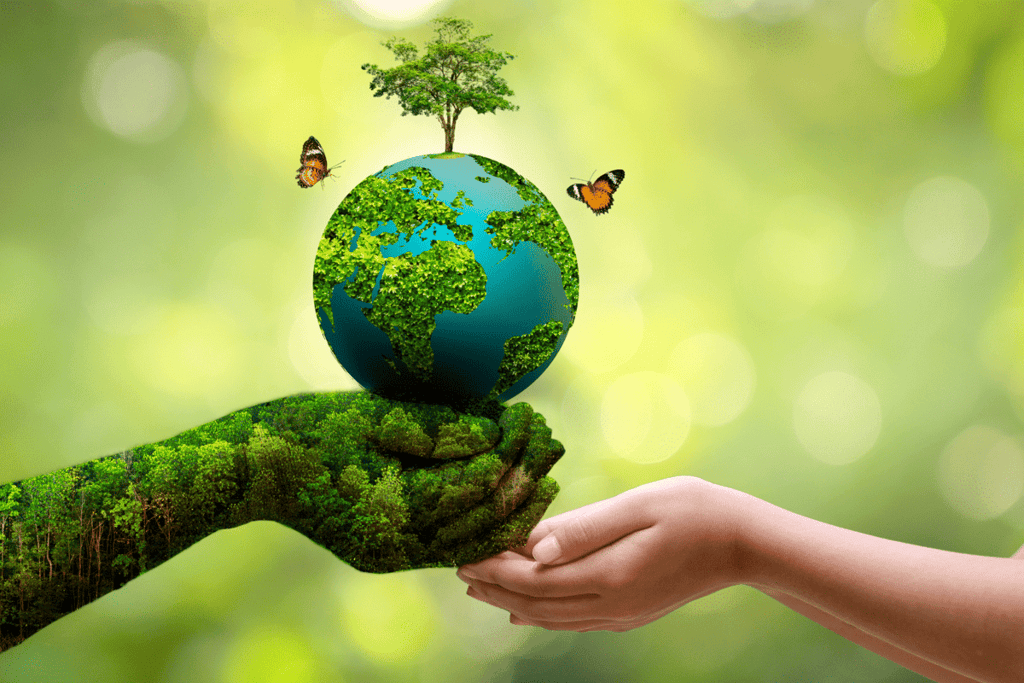 Interdependence of Living Beings - Plants and Animals Chapter Notes | Science Class 5 ICSE