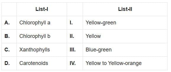 NEET Previous Year Questions (2016-2025): Photosynthesis in Higher Plants | Biology Class 11