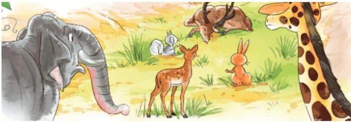 Day 2: Practice and Analysis