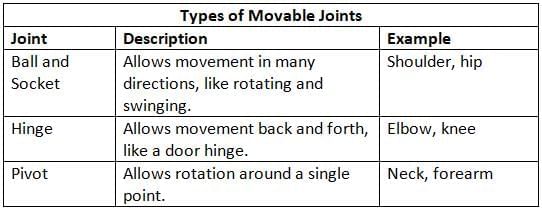 Structure and Support Chapter Notes | Science for Grade 6