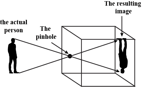 Light and the Formation of Shadows Chapter Notes | General Science Class 6 (Maharashtra Board)