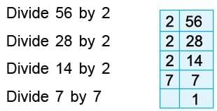 HCF & LCM Chapter Notes | Mathematics Class 6 (SSC Board)