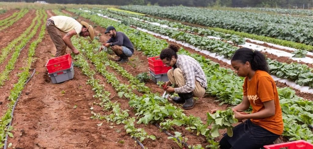 NCERT Solutions for Class 6 Civics - Rural Livelihoods