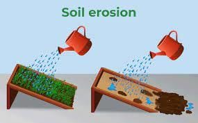 Q5: Short Answer Questions.