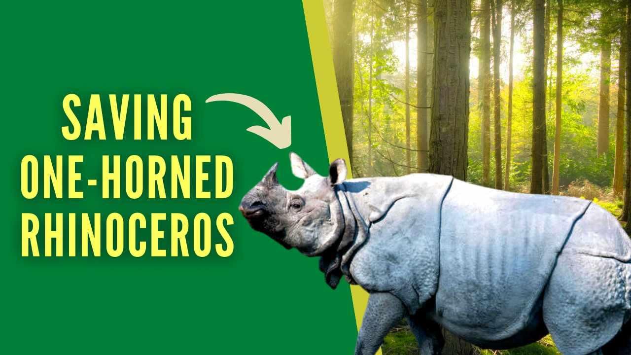 Shankar IAS Summary: Conservation Efforts | Famous Books for UPSC Exam (Summary & Tests)