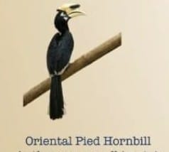 4. The Need for Classification