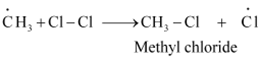NCERT Solutions Class 11 Chemistry Chapter 9 - Hydrocarbons