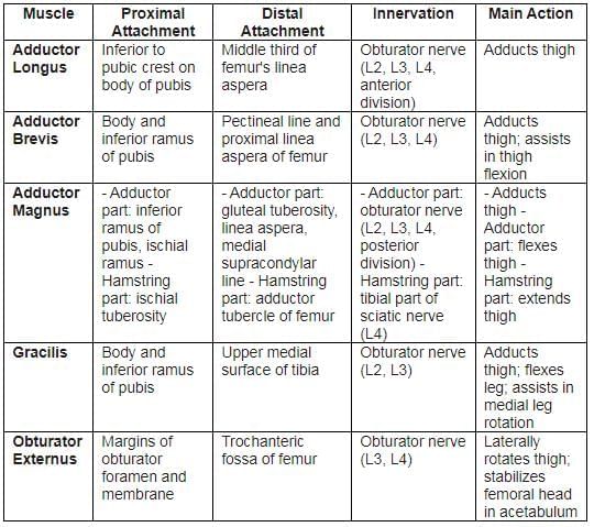 Lower Limb - 2 Chapter Notes | Anatomy - NEET PG