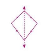 Symmetry Chapter Notes | Mathematics Class 6 ICSE