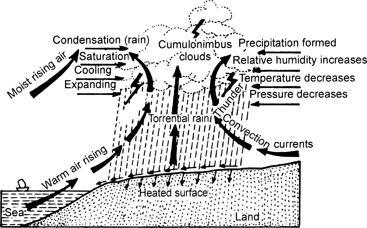 Veena Bhargava Textbook Solutions Humidity - Geography Class 9 ICSE PDF