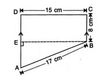 5. Trapezium