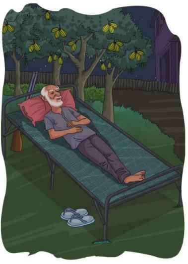 Hide-and-seek with Salim Ali Chapter Notes | English Class 6 ICSE