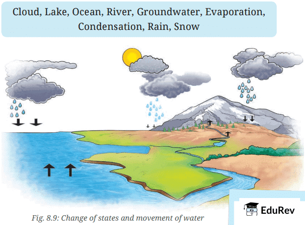 Activity 8.11: Let us understand the process