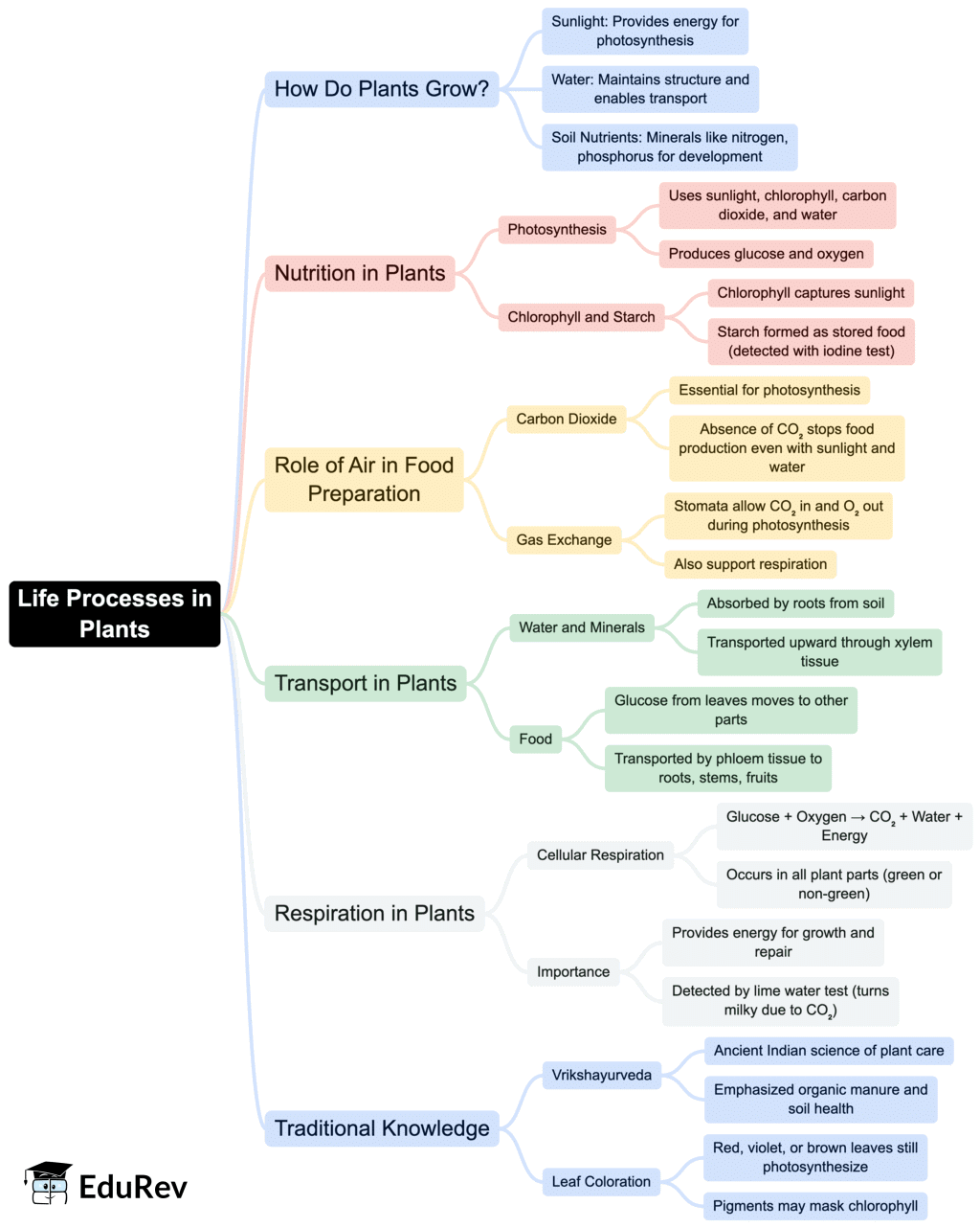 Class 7 Science Chapter 10 Mindmap - Life Processes in Plants