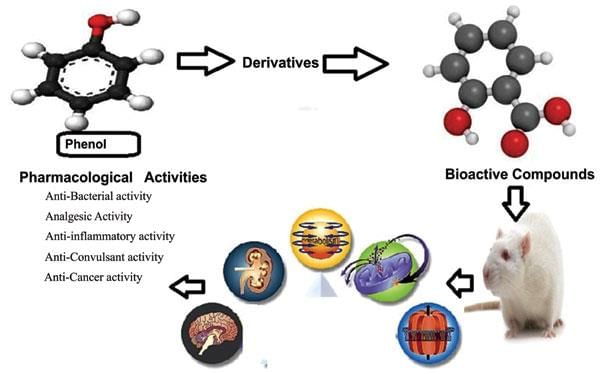Uses of Phenol
