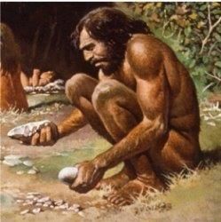 Revision Notes: Human Evolution | Biology Class 10 ICSE