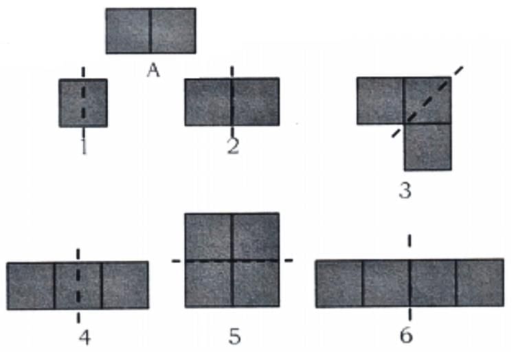 NCERT Solutions for Class 4 Maths Chapter 11 - Fun with Symmetry