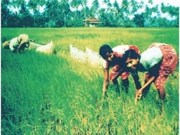 Class 9 Geography Chapter 2 Notes - Physical Features of India