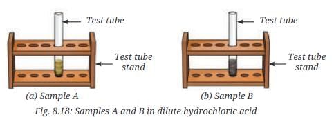 NCERT Based Activity: Nature of Matter: Elements, Compounds, and Mixtures | Science Curiosity Class 8 -  New NCERT