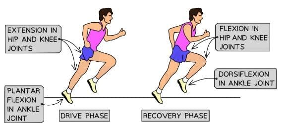 Running Movement Diagram